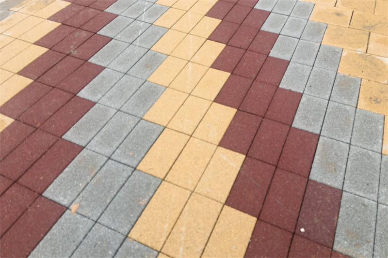 案例展示-珠海野貍島